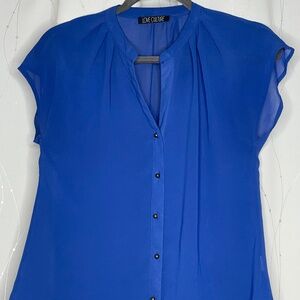 Sheer Blue Button Down Blouse